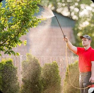 Pest Control & Home Services
